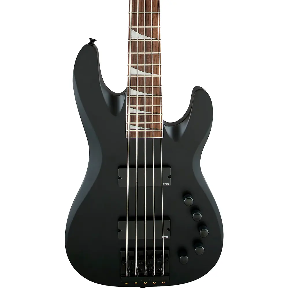 Jackson CBXV David Ellefson